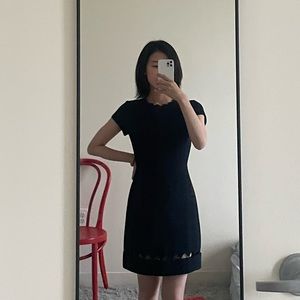 Club Monaco Dress